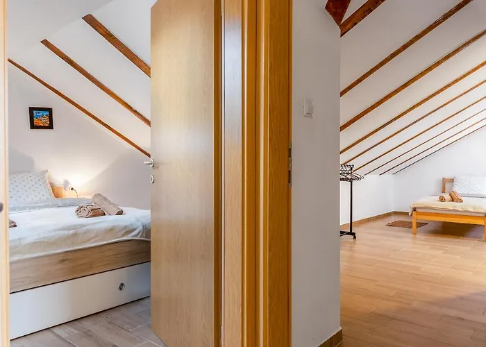 Sokol - Secret Forest House 度假村 3*