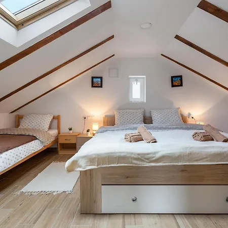 Sokol - Secret Forest House