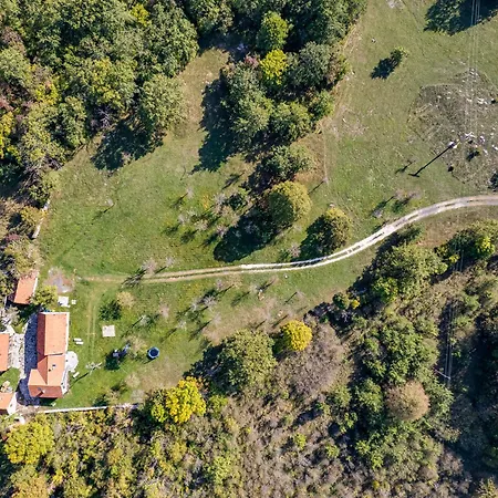 Sokol - Secret Forest House