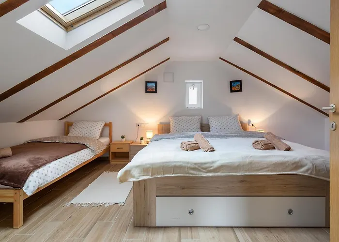 Sokol - Secret Forest House