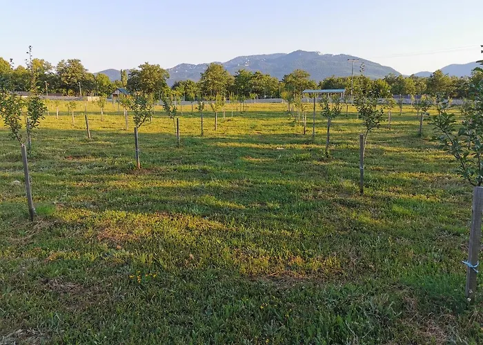 Sokol - Secret Forest House אתר נופש Gračac