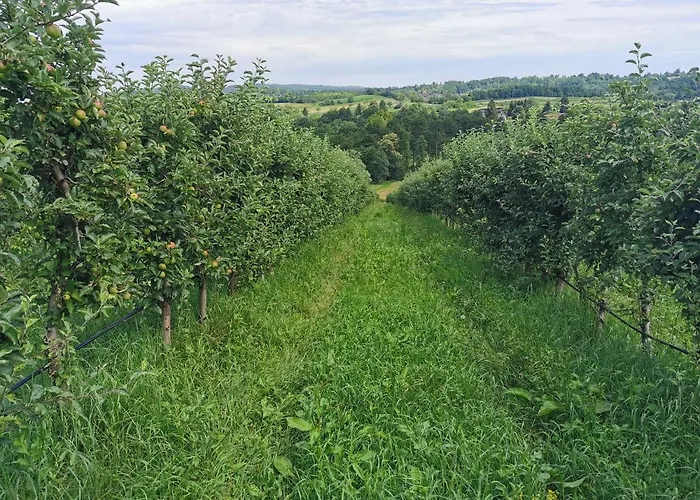 Sokol - Secret Forest House Gračac